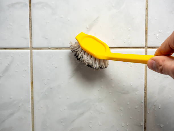 Best Attic Mold Removal  in Centerville, SC