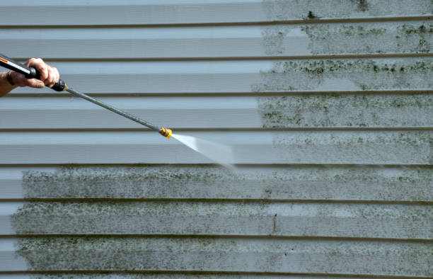 Mold Removal Process in Centerville, SC